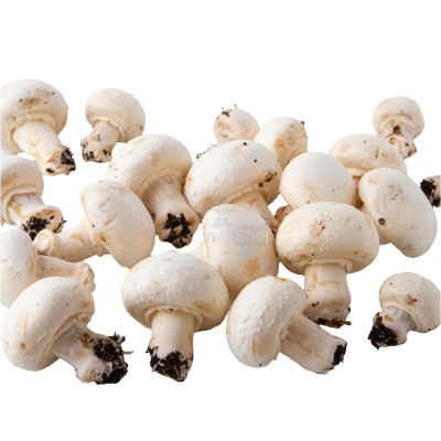 Шампиньоны свежие 500 г - купить в Кушках